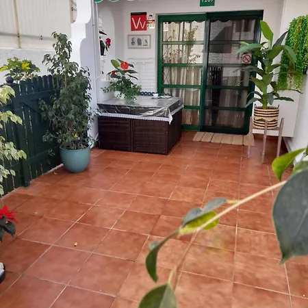 Duna Flor - Cika 207